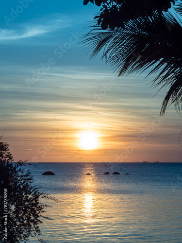 romantischer Sonnenuntergang mit Palmen im Vordergrund