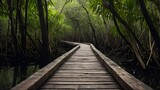 Wooden Bridge Paths Through Lush Forest Landscapes.