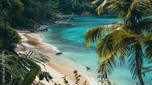 A beautiful exotic beach with palm trees, white sand and blue sea.