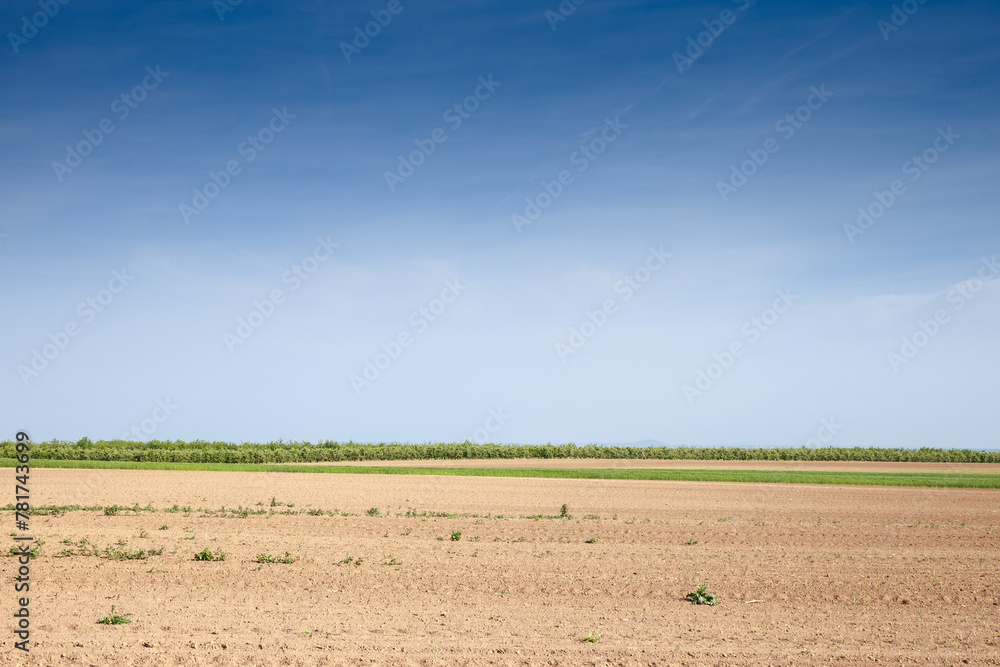 Panorama of an Agricultural landscape, a plowed field in the Serbian countryside, in Voivodina, between surduk & slankamen in spring. The plough & technique used in agriculture to fertilize a land.
