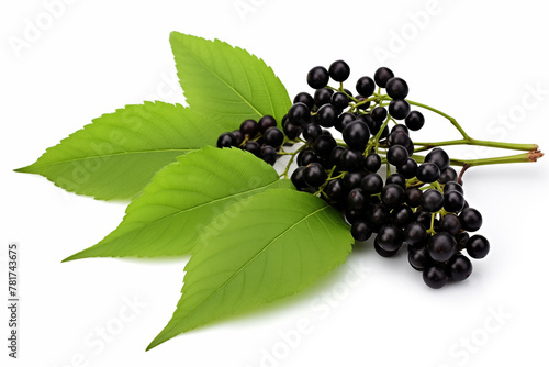 Immune system-boosting foods. Black elderberries isolated on white background. AI generation.