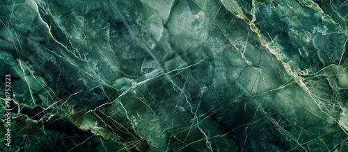 Green marble surface in close view contrasting against a dark black background © LukaszDesign