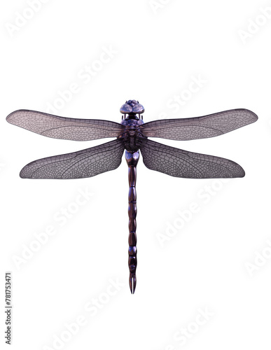 metal dragonfly 3d rendering illustration