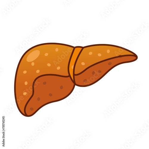 fatty liver vector illustration isolated on white background