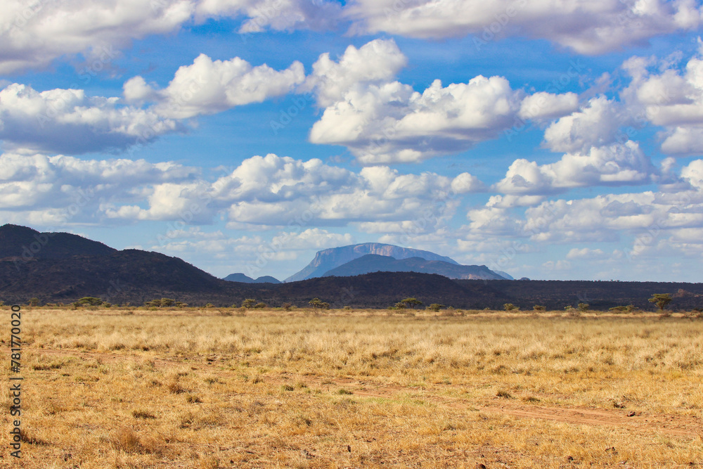 Panoramic landscape of the vast savanna with its big sky country with Mount Ololokwe, sacred to the Samburu people in this scene at the Buffalo Springs Reserve in Samburu County, Kenya