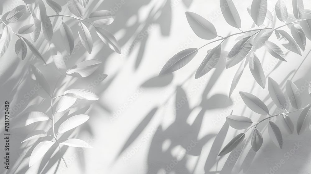 Elegant Natural Shadow of Leaves on White Textured Background Elegant Natural Shadow of Leaves on White Textured Background