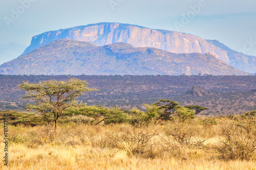 Mount Ololokwe,sacred to the local Samburu tribe dominates the vast Samburu reserve seen here in the panoramic view at the Buffalo Springs Reserve in Kenya photo