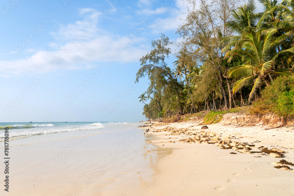 Paradise beach with white sand and palms, Kenya. tall coconut palms grow on a sandy beach near the Indian Ocean. Beautiful seascape.