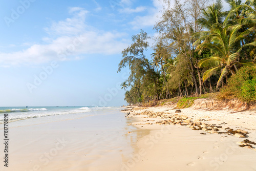 Paradise beach with white sand and palms, Kenya. tall coconut palms grow on a sandy beach near the Indian Ocean. Beautiful seascape.