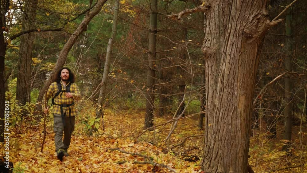 Backpacking man walking through forest during Autumn with walking stick pauses to look around. Backpacking man walking through forest during Autumn with walking stick pauses to look around.