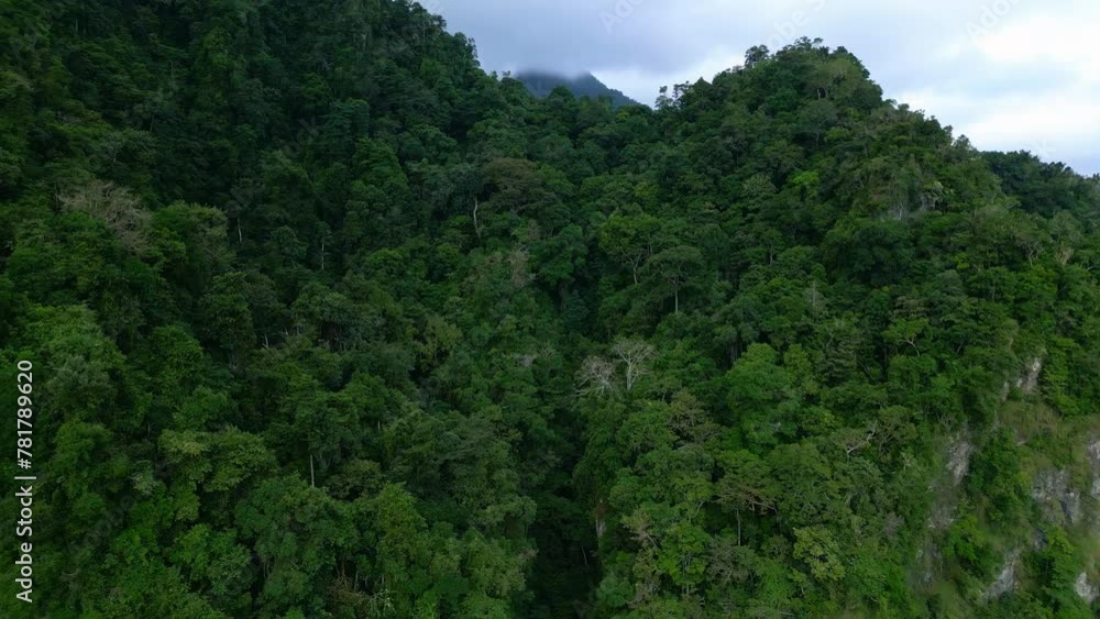 Aerial Drone View at Green Forest Trees on Beautiful Mountains of Asia Land. Journey Trip to Lush Misty Woods and Jungle Nature of Indonesia. Air Ecology and Old Environment of Asian Cloudy Rainforest Aerial Drone View at Green Forest Trees on Beautiful Mountains of Asia Land. Journey Trip to Lush Misty Woods and Jungle Nature of Indonesia. Air Ecology and Old Environment of Asian Cloudy Rainforest