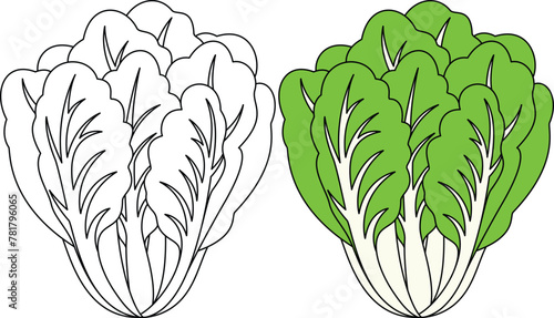 Romaine Lettuce Vegetable Isolated vector illustration Coloring Page