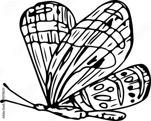 Hand drawn butterfly illustration, Transparent background. 