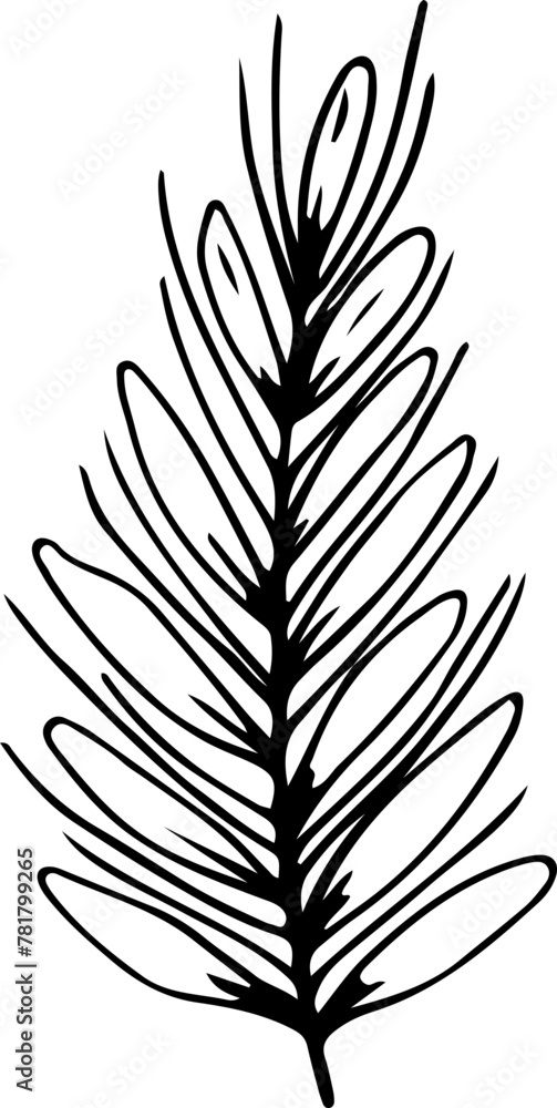 Naklejka premium Hand drawn leave illustration, Transparent background. 