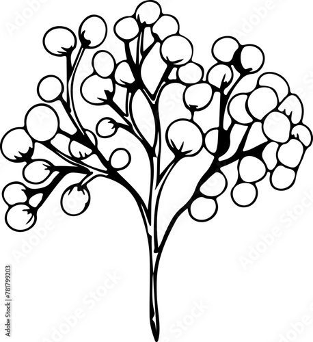 Hand drawn tree illustration  Transparent background. 