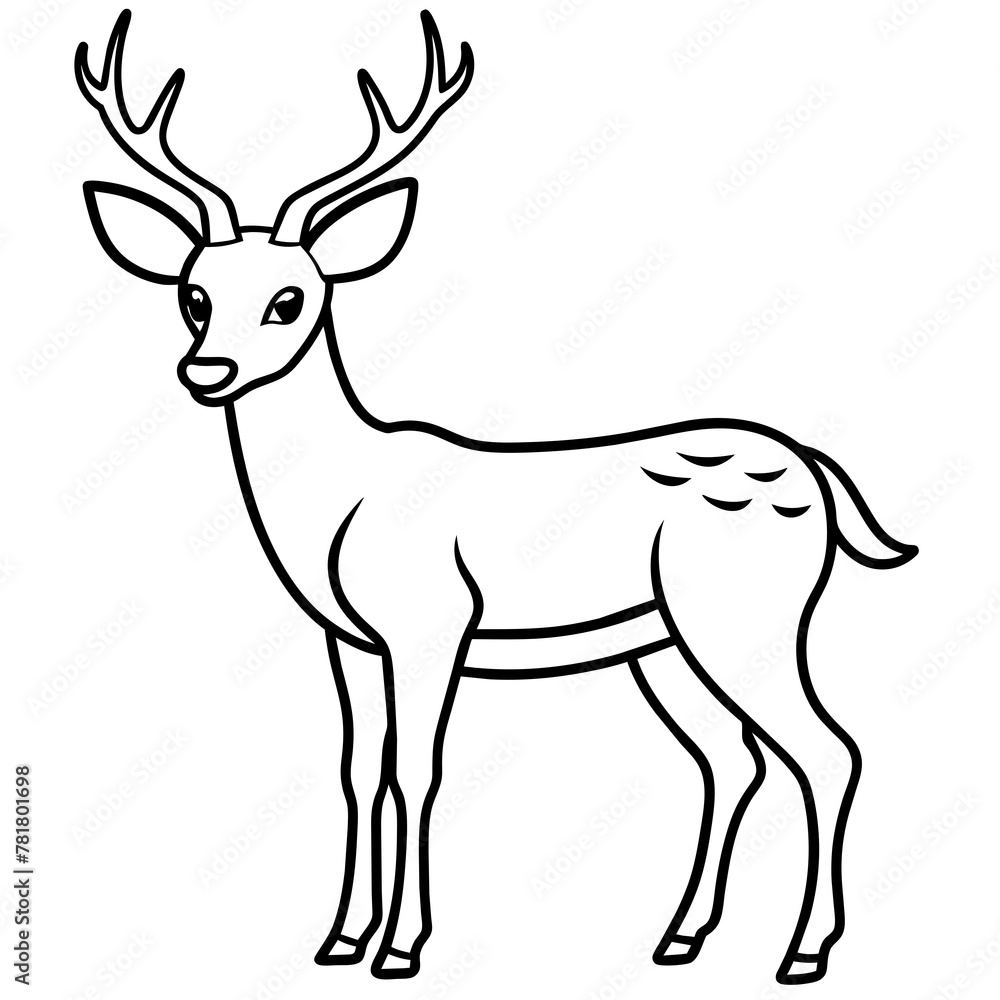 Obraz premium deer illustration
