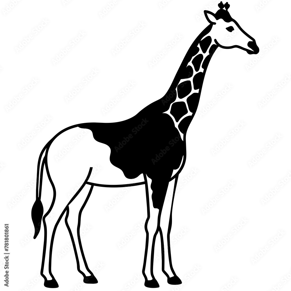 giraffe vector illustration giraffe vector illustration