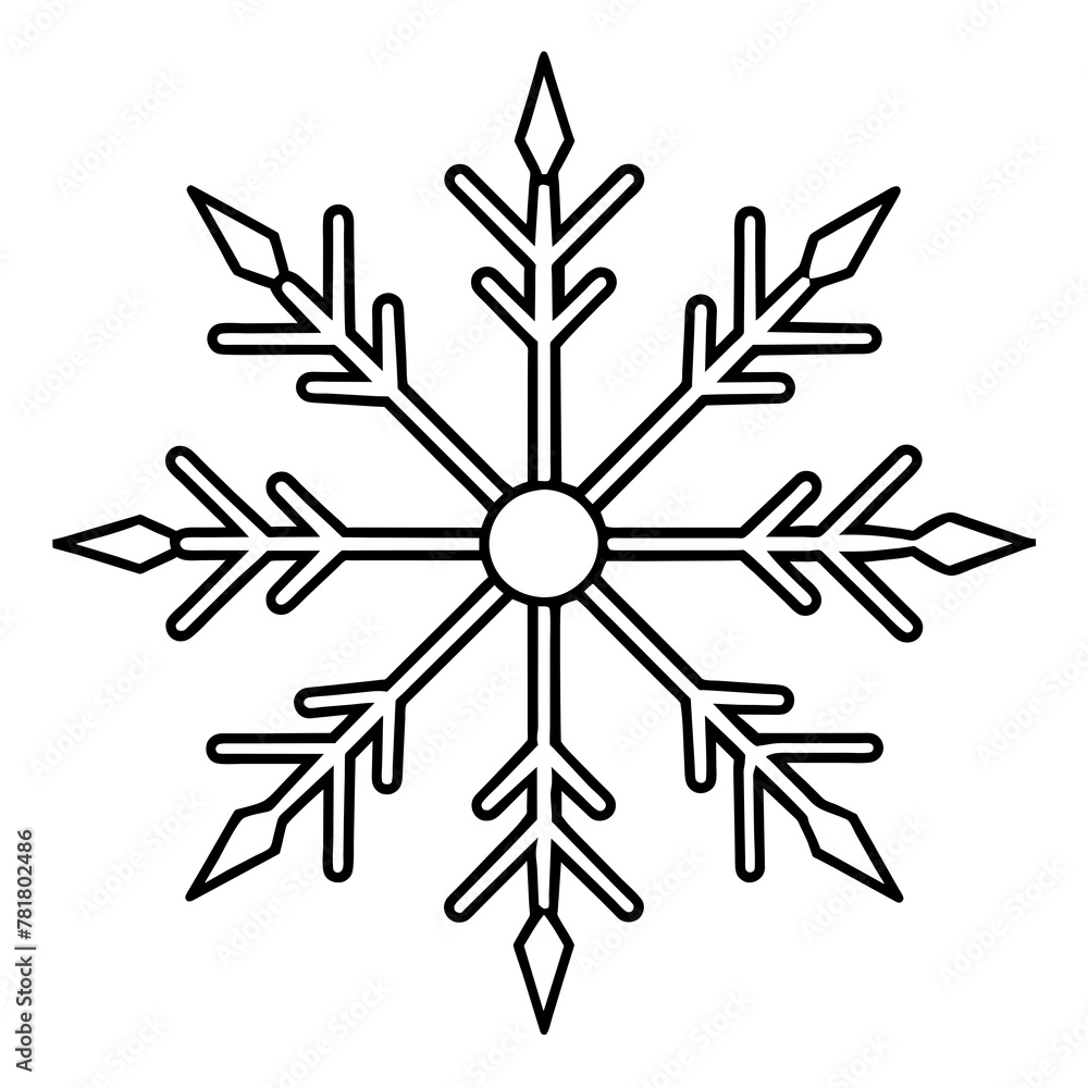 Obraz premium snowflake