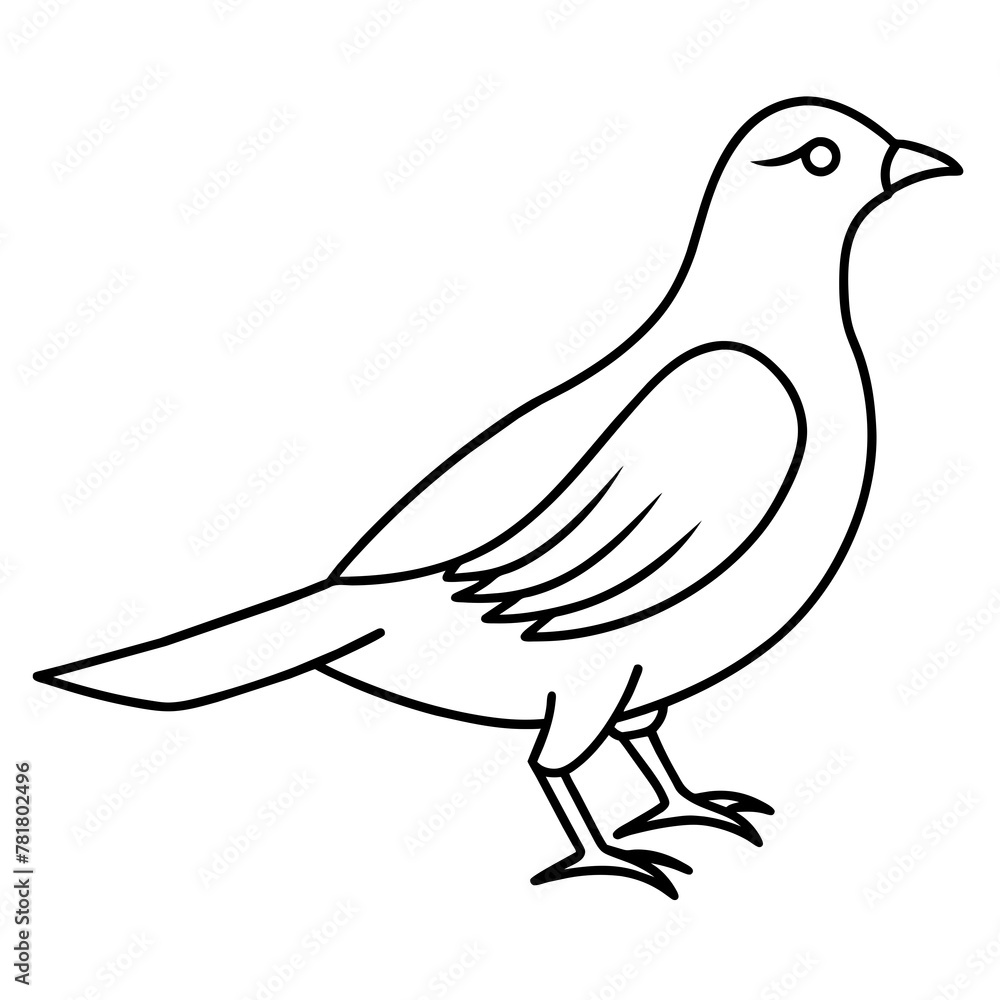 Fototapeta premium dove of peace