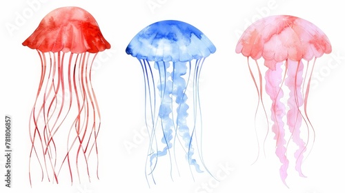  Three jellyfish resting atop a white surface; one touched by red hue, another by blue, the third by pink