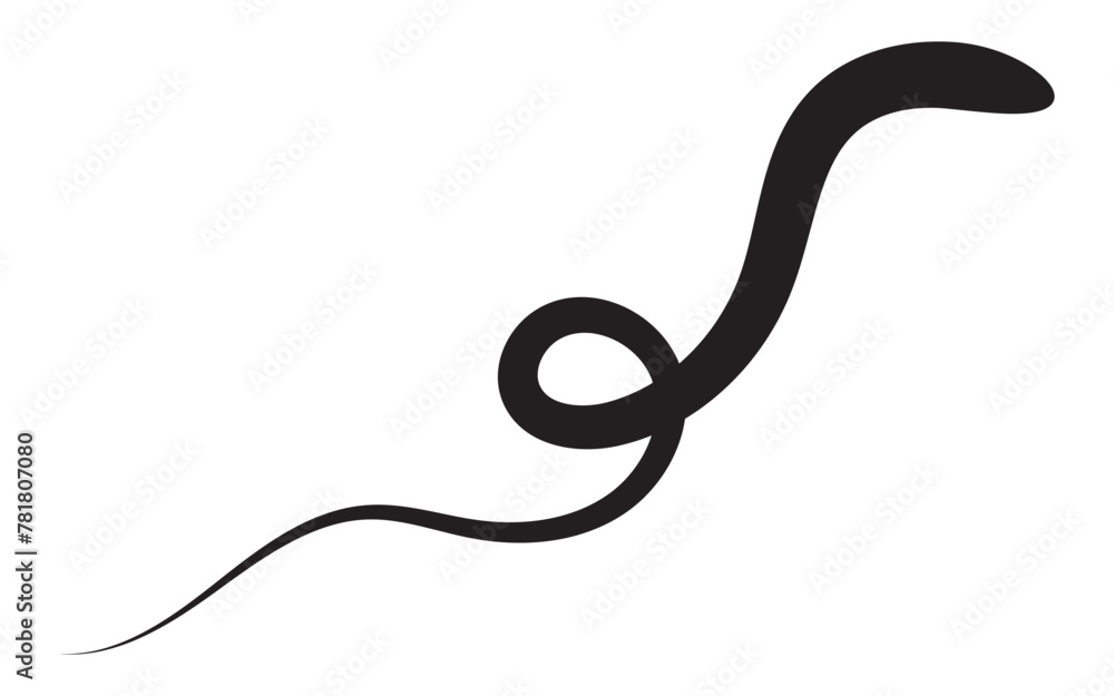 Swoosh and swash, swish vector line icon, black underline set, hand drawn swirl and curly text elements. Doodle retro collection isolated on white background. Swirly line doodle. 11:11 Swoosh and swash, swish vector line icon, black underline set, hand drawn swirl and curly text elements. Doodle retro collection isolated on white background. Swirly line doodle. 11:11