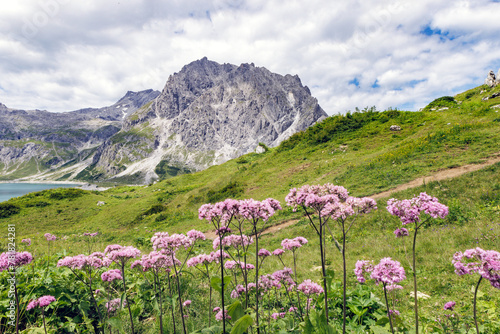 Blumen und Berge am Lünersee