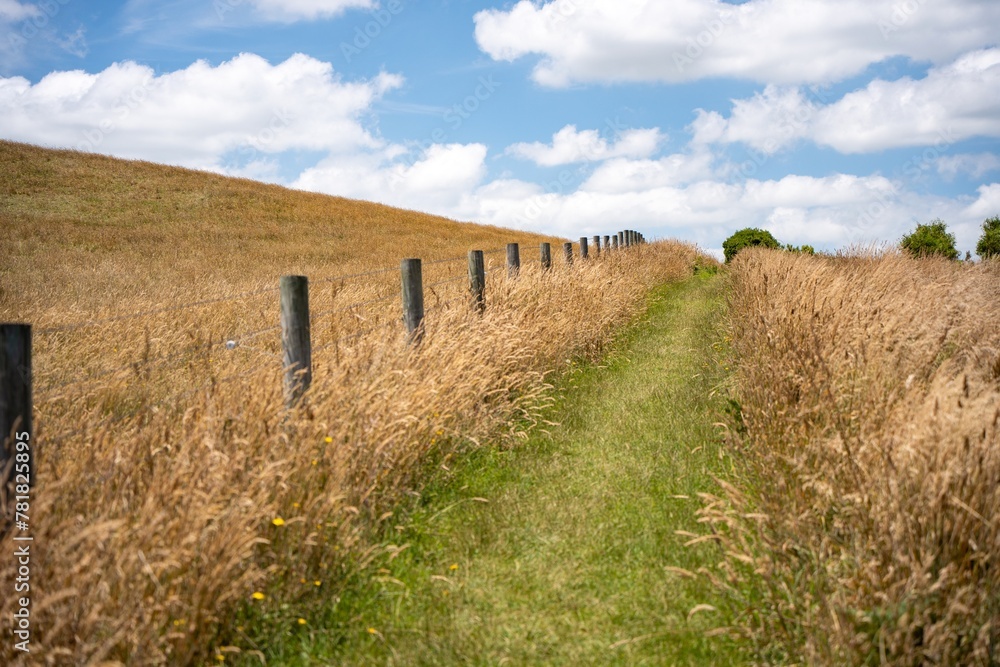 george bass costal walk in summer days george bass costal walk in summer days