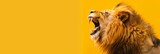 Majestic Lion Roaring on Yellow Background