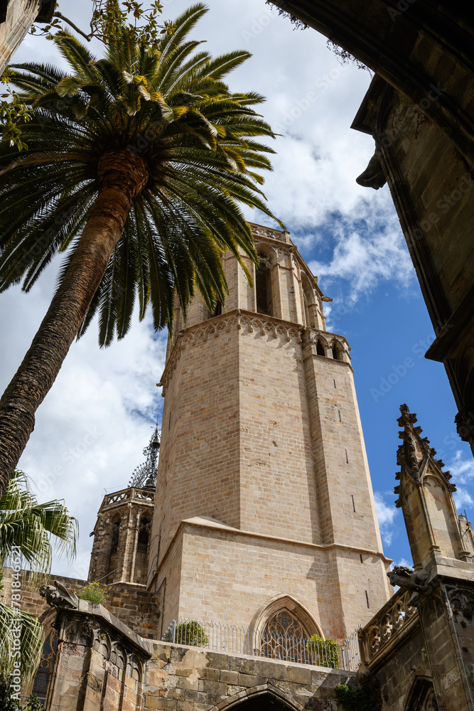 Barcelona, Spain: Tower of Cathedral Saint Eulalia, seen from courtyard  (cloister), Gothic quarter