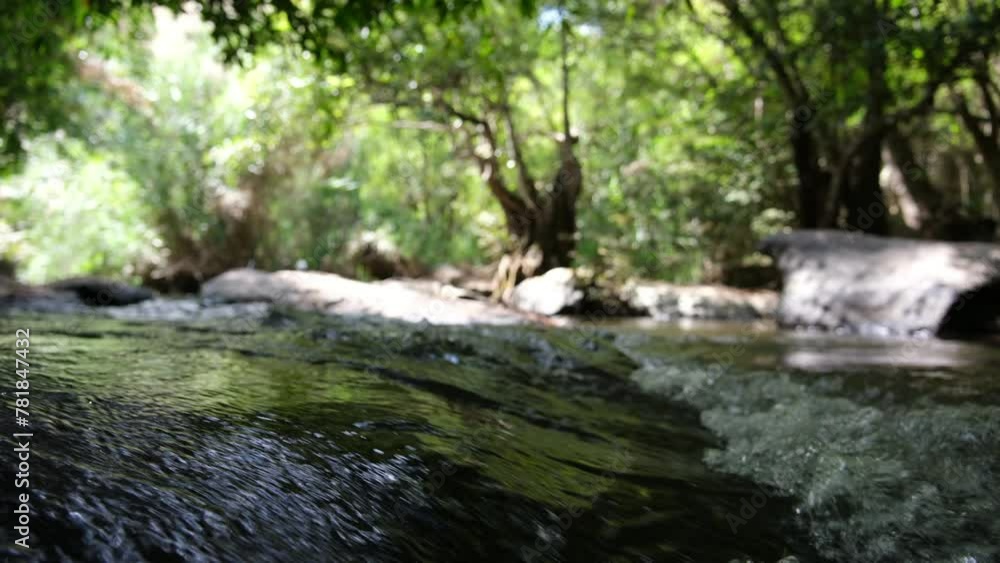 The river with beautiful nature in the forest The river with beautiful nature in the forest