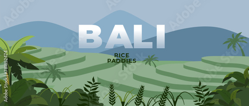 Bali rice terraces landscape