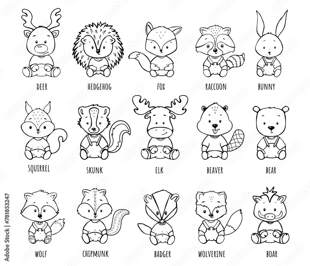 woodland animals vector collection of children's illustrations coloring book