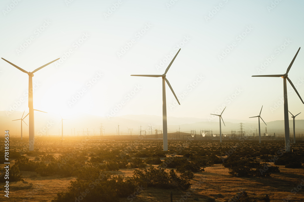 Obraz premium Field of wind turbines against blue sky at sunrise, energy concept