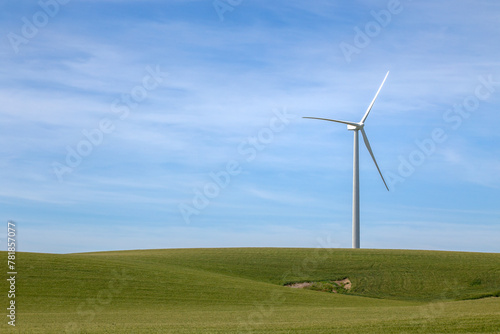 Wind energy turbine in a green crop meadow, with copy space photo