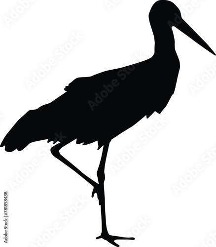 Stork