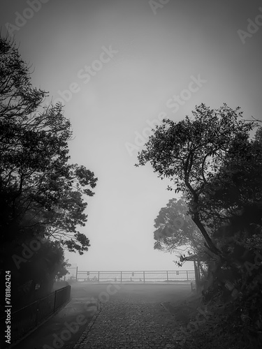 morning in the park