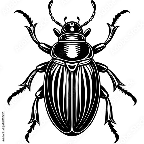 black and white beetle -Vector illustration