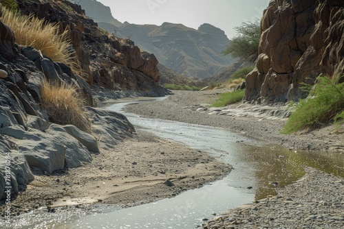 Ephemeral Beauty: Discovering the Hoanib River in Khowarib Gorge - A Road Trip Through Nature's Majestic Canyons photo