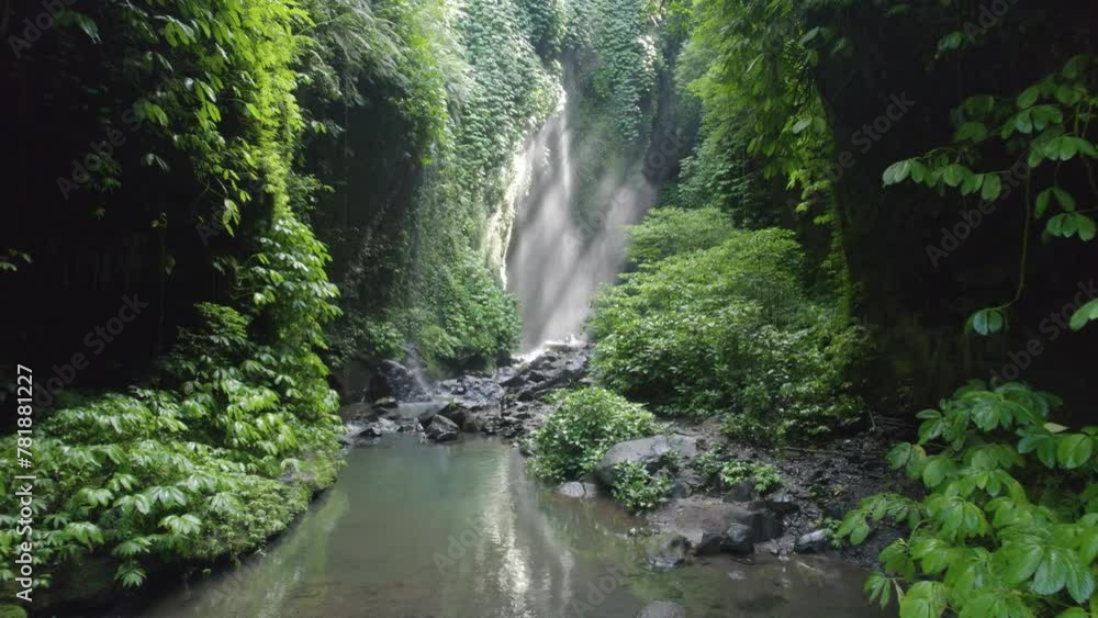 A waterfall with a pool of water in the middle. The water is clear and the surrounding area is lush with green vegetation