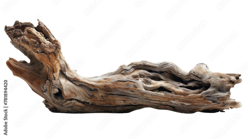 Weathered Driftwood on White Background Weathered Driftwood on White Background