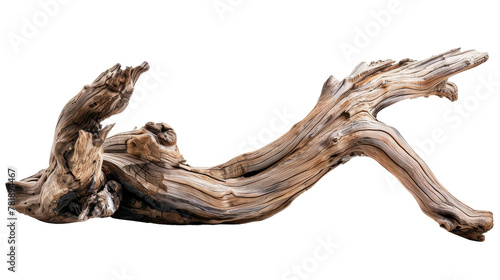 A Piece of Driftwood Laying on the Ground