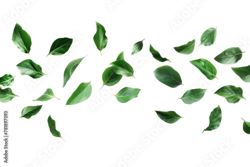 Group of Green Leaves Flying Through the Air