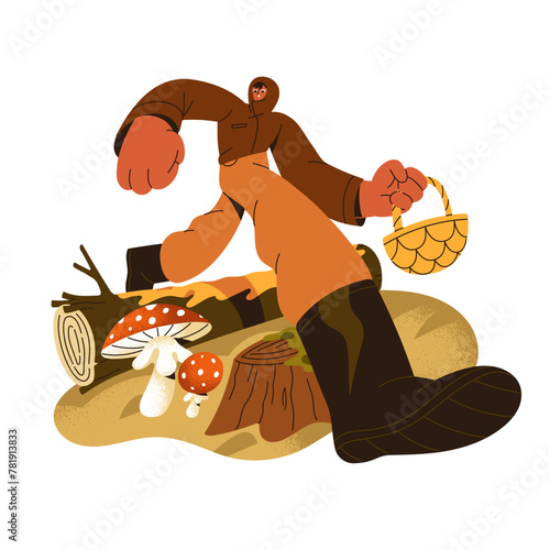 Mushroomer finds toadstools, amanita in fall forest. Fly agaric grows in autumn woodland. Person walking with basket in hand to gather, pick mushrooms. Flat isolated vector illustration on white