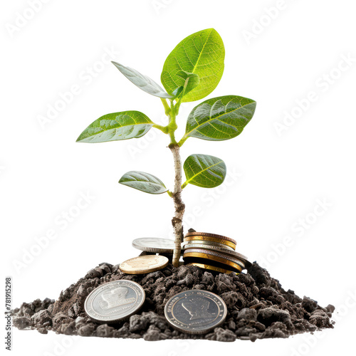 A plant growing from a pile of coins, symbolizing investment growth isolated on transparency background PNG photo