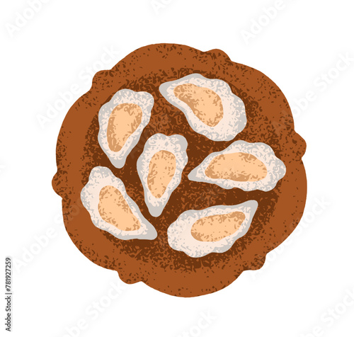Fresh oyster in shells on plate. Open shellfish delicacy, sea food on platter, top view. Gourmet appetizer. Delicious raw seafood delicatessen. Flat vector illustration isolated on white background