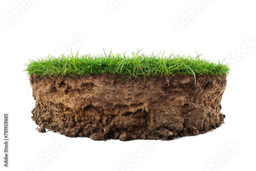 Fresh spring green grass with soil isolated on white background.
