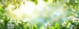 Bright, Sunlit Spring Foliage Banner with Blurred Green Leaves and White Blossoms