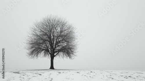 A tree stands alone in a snowy field. Concept of solitude and stillness, as the tree is the only visible element in the scene © AW AI ART