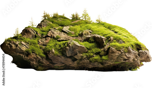 Green moss meadow on rock isolated on transparent and white background.PNG image.