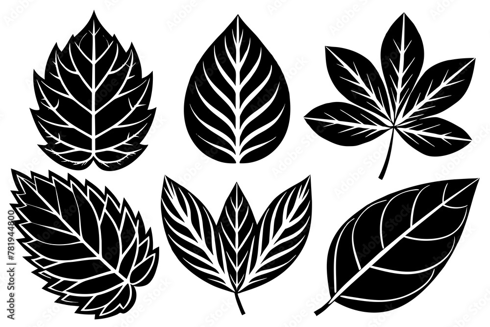  collection-of-leaves-6set--on-white-background